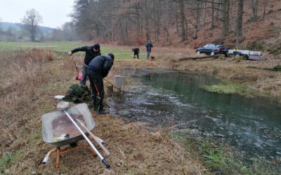 Reinigung Teichanlage Langenschwarz