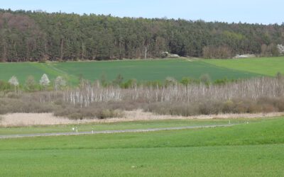 Wanderung zum „Großen Moor bei Großenmoor“