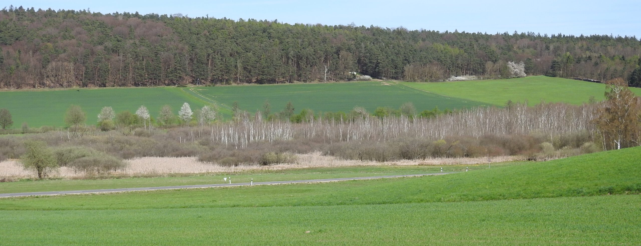 Das Große Moor bei Großenmoor