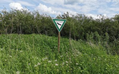 Moorwanderung zum „Großen Moor bei Großenmoor“