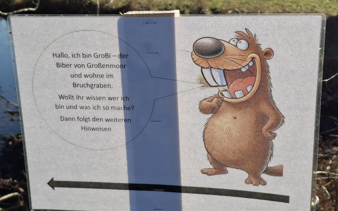 Hallo, ich bin GroBi