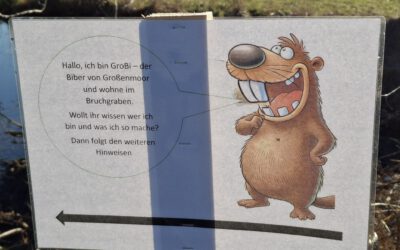 GroBi – Der Biber von Großenmoor