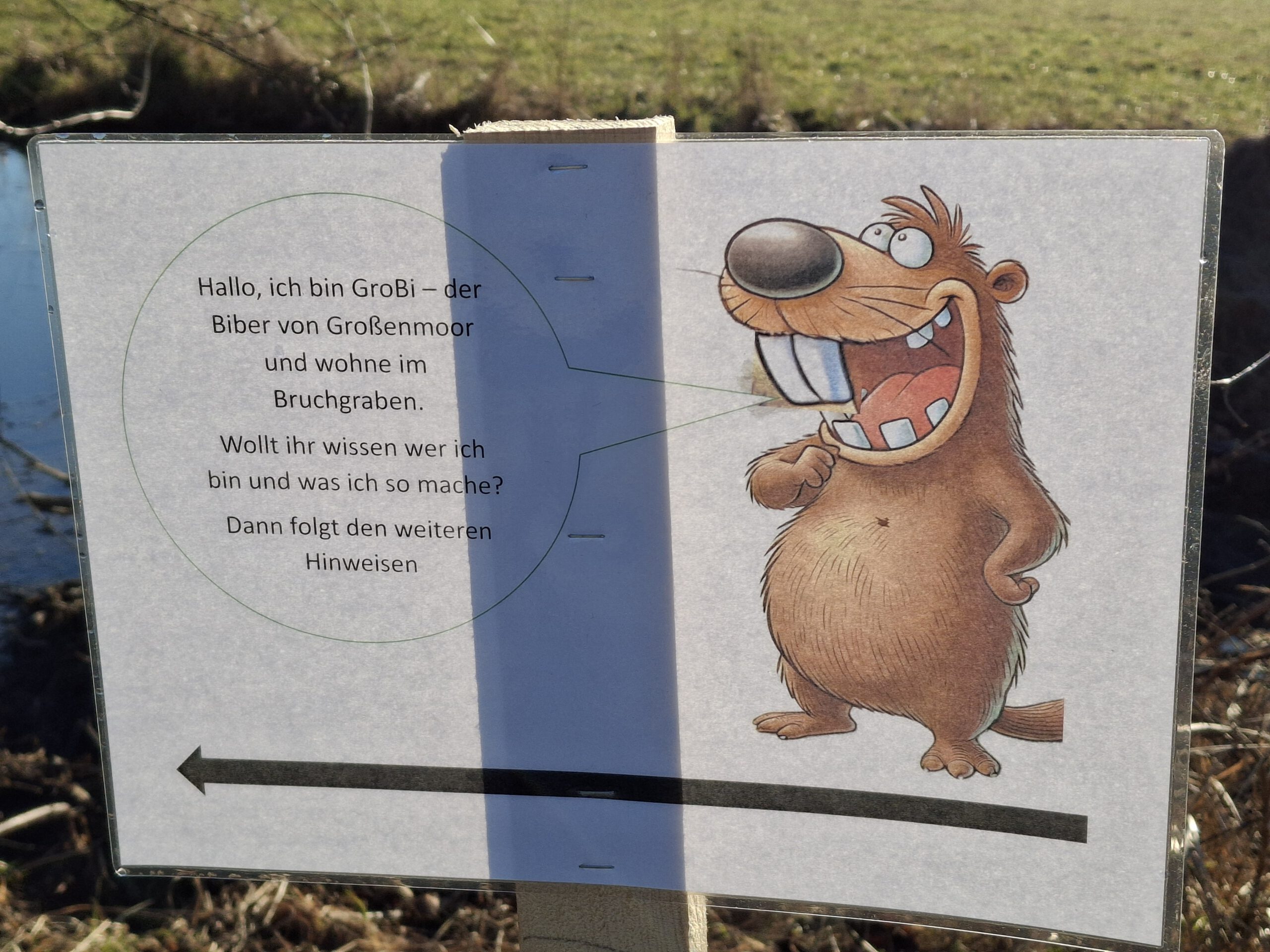 Hallo, ich bin GroBi