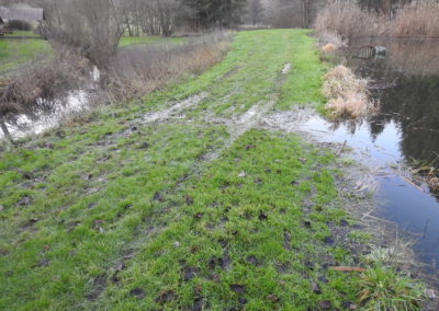 Dezember 2019: Da der Biber den Ablauf verstopft hat, läuft der Teich über.