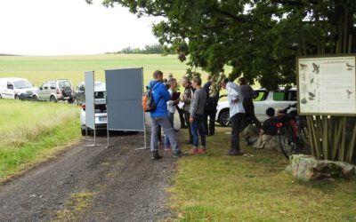 Gebietskonferenz zum FFH-Gebiet „Großes Moor bei Großenmoor“